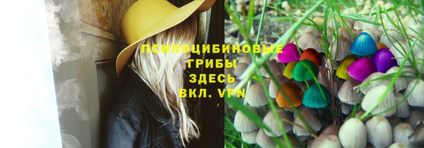 гашик Богородск