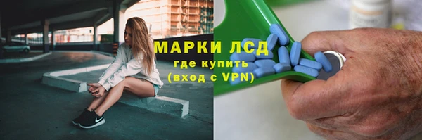 хмурый Бородино