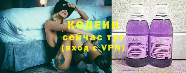 гашик Богородск