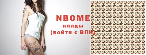 гашик Богородск