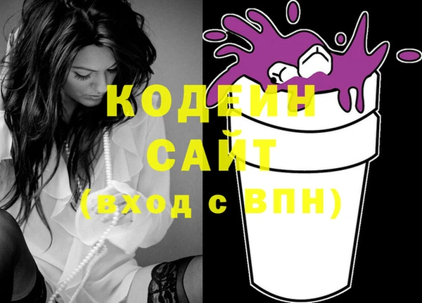 хмурый Бородино