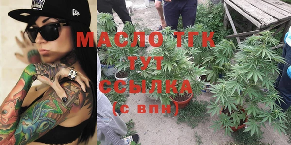 хмурый Бородино