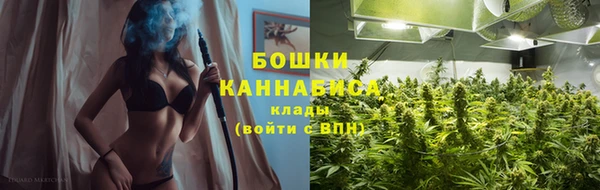 гашик Богородск
