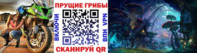 сколько стоит  Свободный  Галлюциногенные грибы мухоморы 