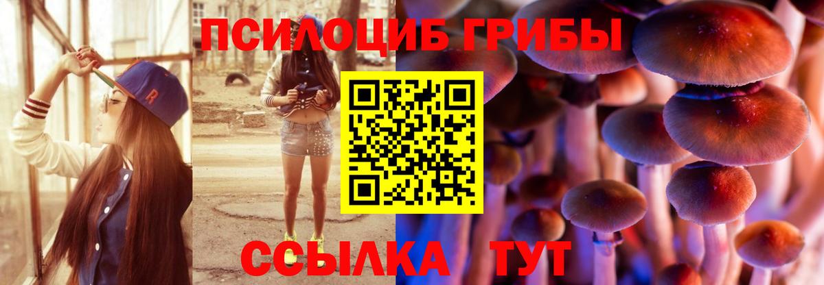 Галлюциногенные грибы ЛСД  Псилоцибиновые грибы Psilocybe  Вход с VPN  Свободный 